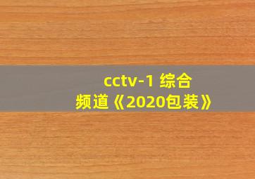 cctv-1 综合频道《2020包装》